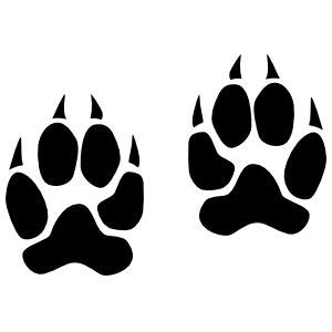 Wildcat Paw Prints - Pack of 4 - StickerVinyl Waterproof Sticker Decal Car Laptop Wall Window Bumper Sticker