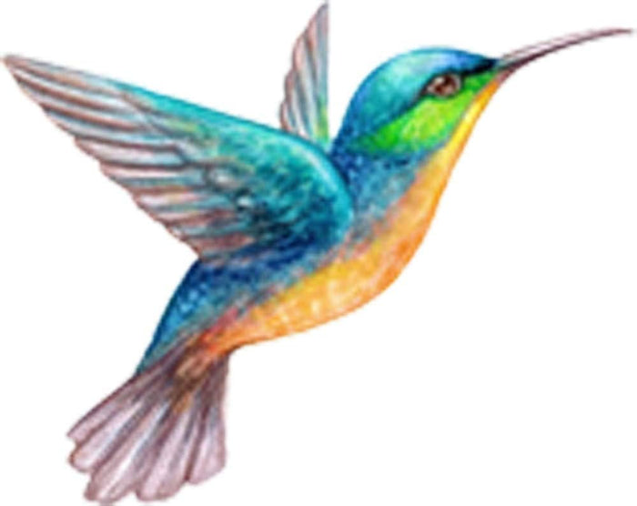 Beautiful Vibrant Colored Hummingbird Art #1 Vinyl Decal Sticker (2" Wide)