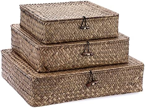 Hipiwe Set of 2 Flat Wicker Storage Basket Bins with Lid Woven Seagrass Box|B08GKMFWM7
