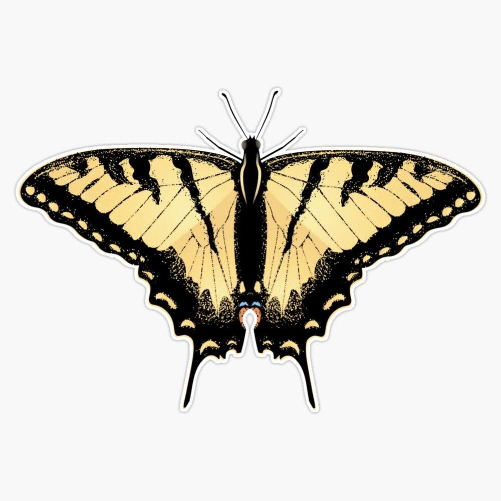 Tiger Swallowtail Butterfly 2 Vinyl Decal Bumper Sticker 5"