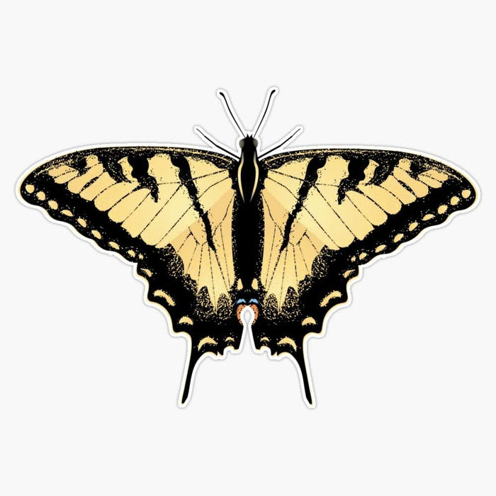 Tiger Swallowtail Butterfly 2 Vinyl Decal Bumper Sticker 5"