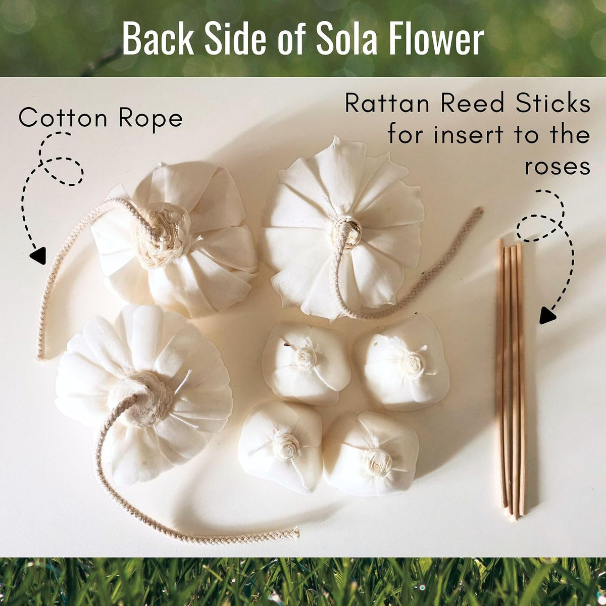 4 Mixed Sola Flower Eco-Friendly Fragrance Diffuser, Handmade Thai Wood Flowers for Home Scenting and Wellness Decor