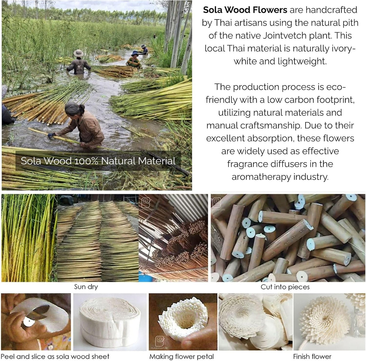 4 Mixed Sola Flower Eco-Friendly Fragrance Diffuser, Handmade Thai Wood Flowers for Home Scenting and Wellness Decor
